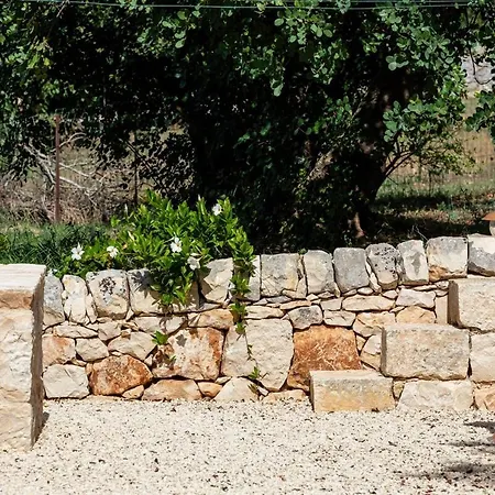 Villa Nonna Rosetta *